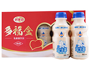 妙事达多福盒益生菌乳酸菌饮品礼盒